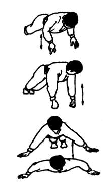 Упражнения для боевых искусств