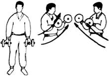 Упражнения для бойцов-рукопашников