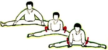 Упражненя на растяжку в боевых искусствах