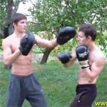 Техника бокса: видео урок